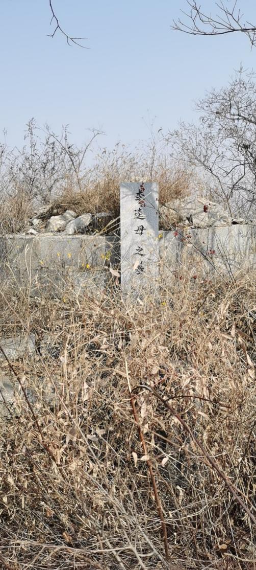 图片11 图片11.jpg