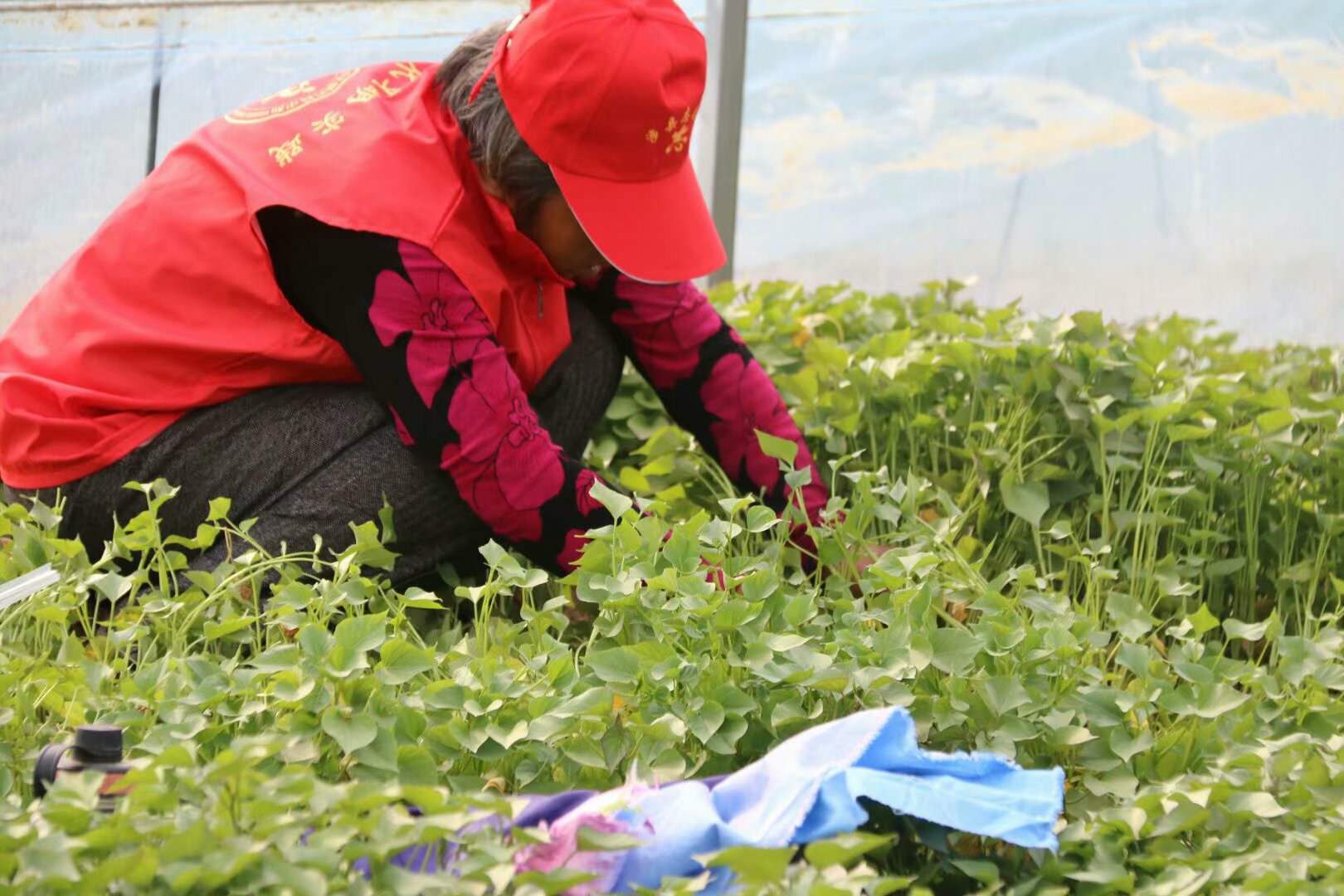 微信图片_20201209101702