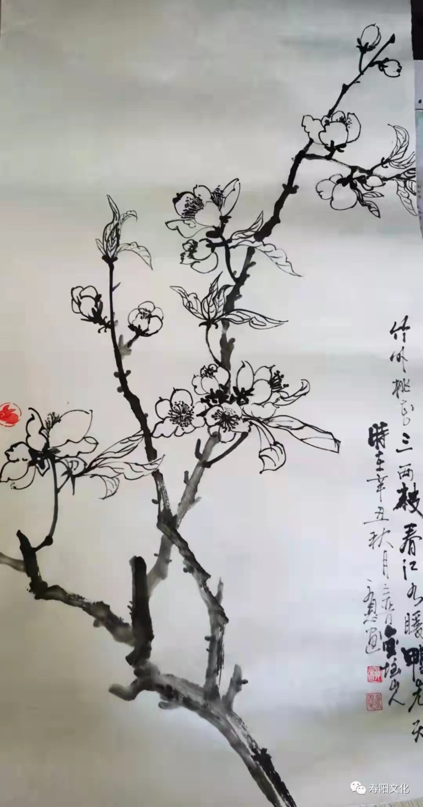 204827e83af108e2aeda9a13dd22663