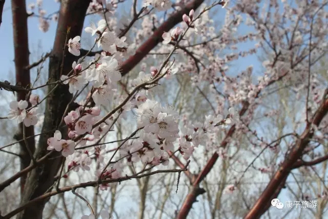 640.webp (1) 640.webp (1).jpg