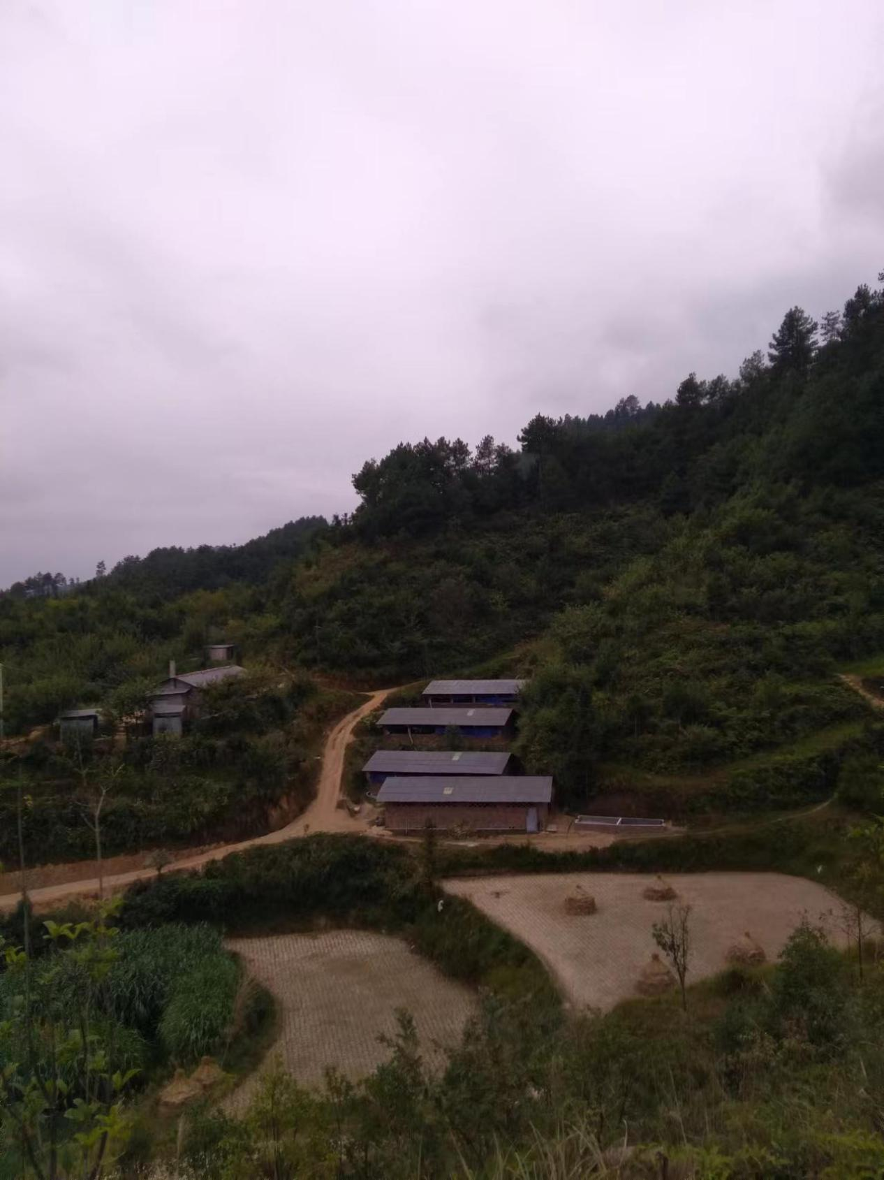 图片40 图片40.png