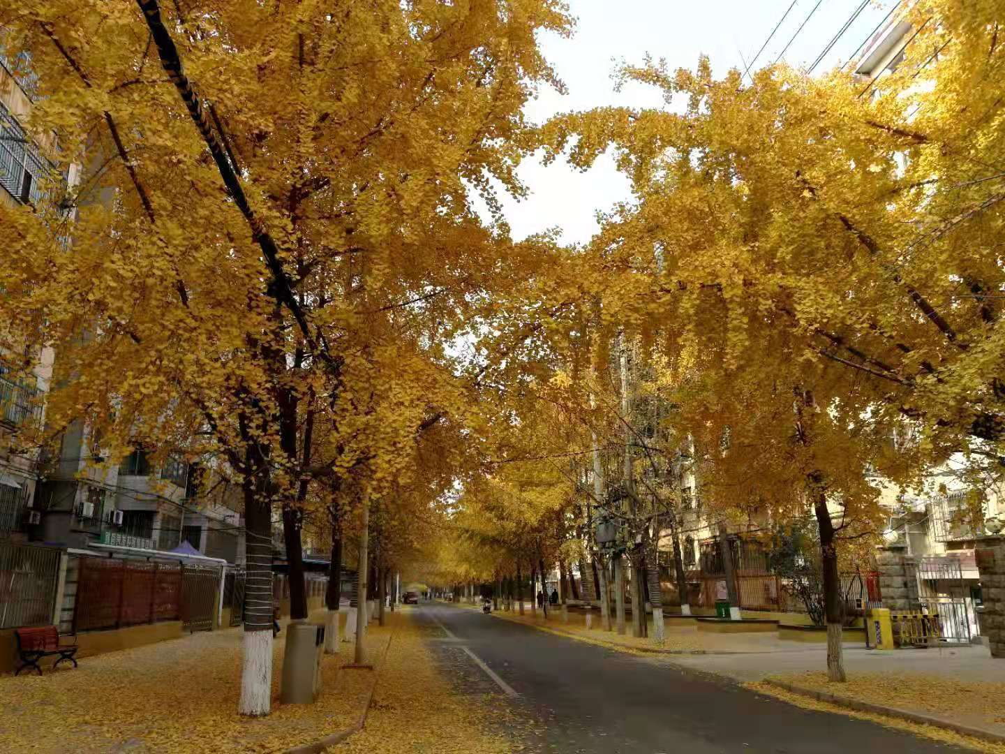 67ea2b1ebb6bd7c155f1265475f2875