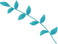 叶子11.png?v=1766760578962 图片