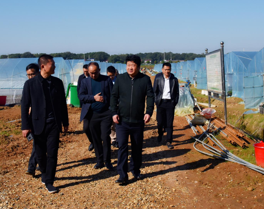 1 1.png?v=1765946737836