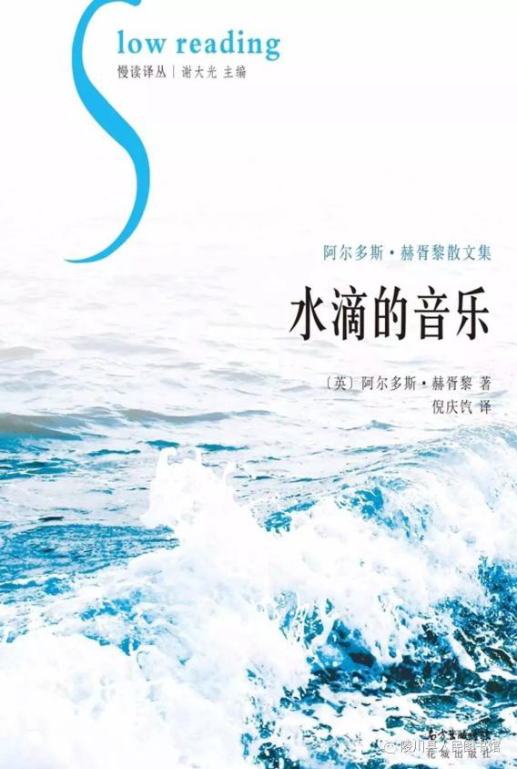 图片3 图片3.png?v=1762227268018