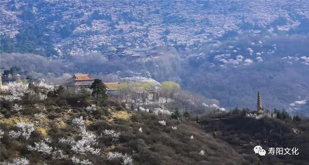 de50c2452cf9bed058087eea9041619