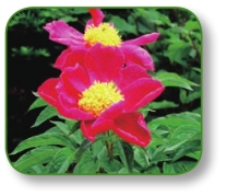 pagenumber_ebook=276,pagenumber_book=263