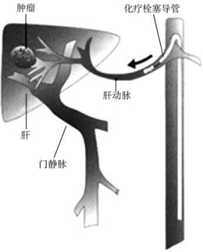 pagenumber_ebook=282,pagenumber_book=267