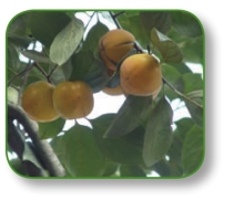 pagenumber_ebook=147,pagenumber_book=134