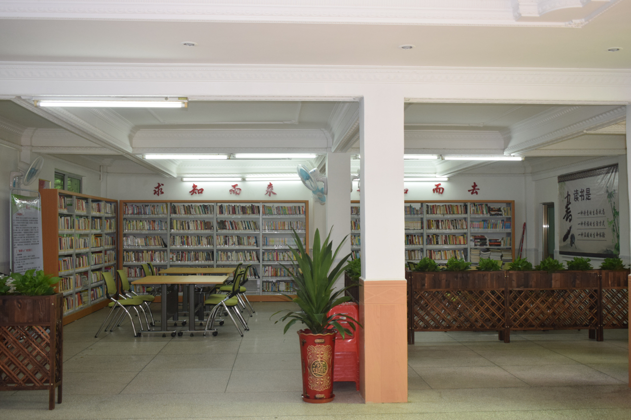 DSC_3434 DSC_3434.jpg?v=1766022154982