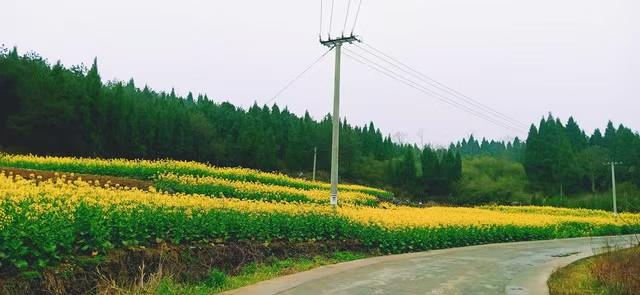 wps_doc_12 wps_doc_12.jpeg