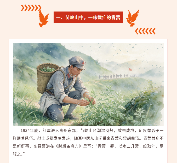 image.png?v=1792101750211