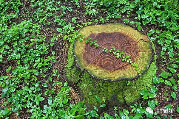 湟中001 湟中001.jpg