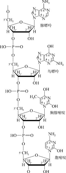 pagenumber_ebook=205,pagenumber_book=192