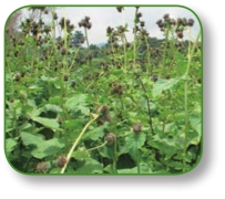 pagenumber_ebook=139,pagenumber_book=126