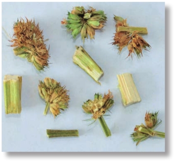 pagenumber_ebook=185,pagenumber_book=172