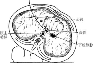 pagenumber_ebook=319,pagenumber_book=304
