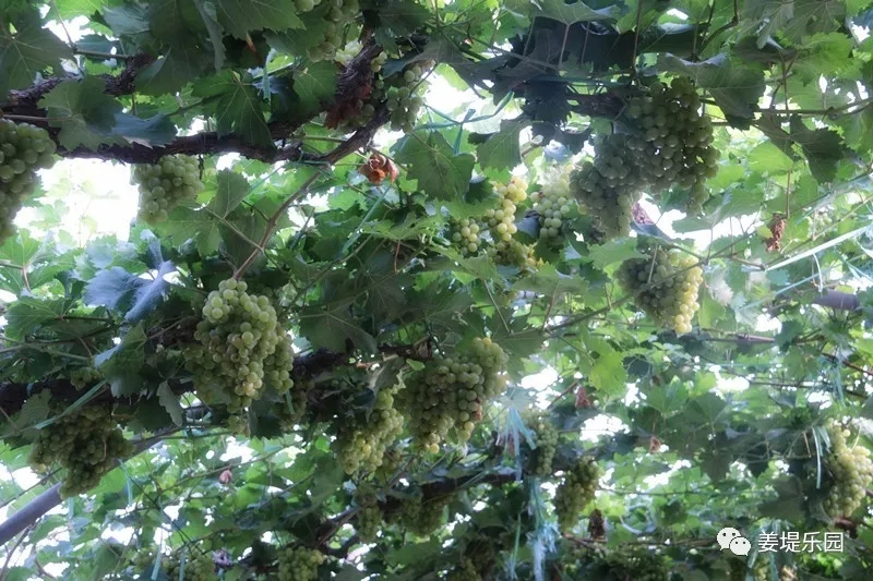 640.webp 640.webp.jpg