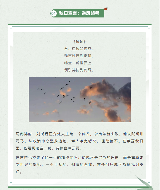 image.png?v=1770178028045