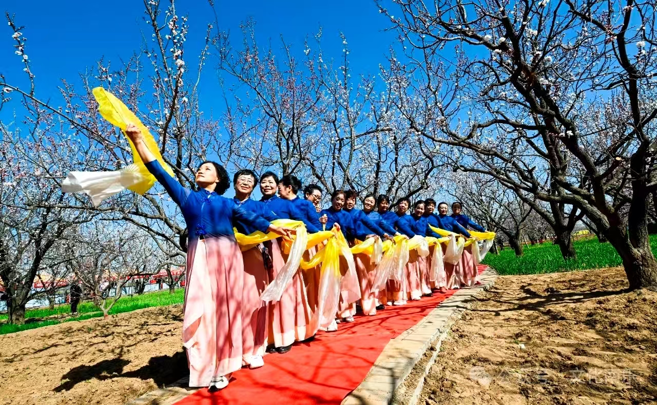微信图片_20260507083331_73_132jpg