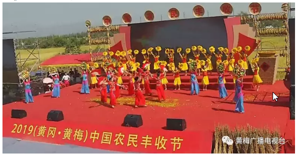 Lily_1600351507 Lily_1600351507.png