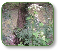 pagenumber_ebook=92,pagenumber_book=79