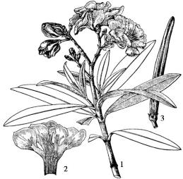 pagenumber_ebook=162,pagenumber_book=162