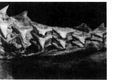 pagenumber_ebook=13,pagenumber_book=4