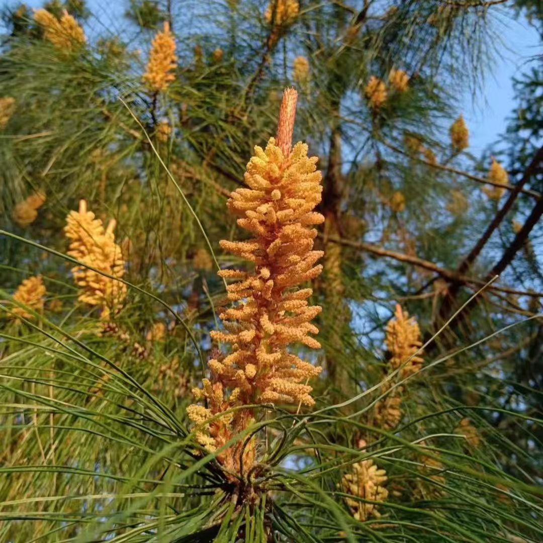 微信图片_20241213111252