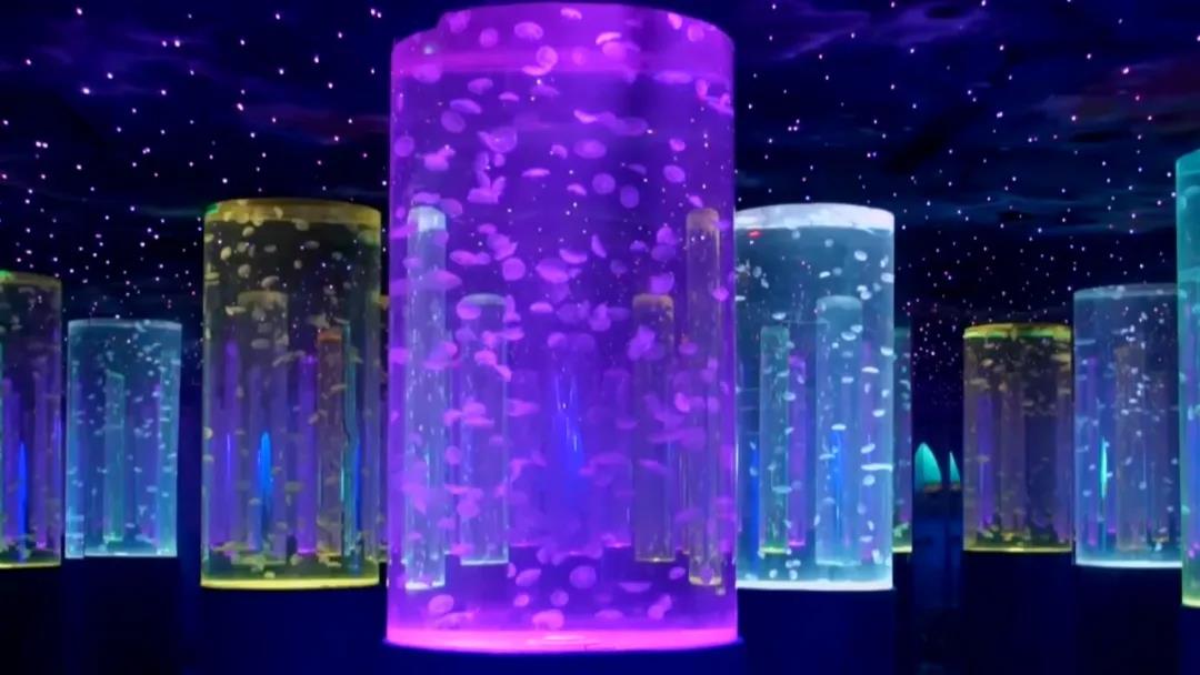 微信图片_20210910172514 微信图片_20210910172514.jpg