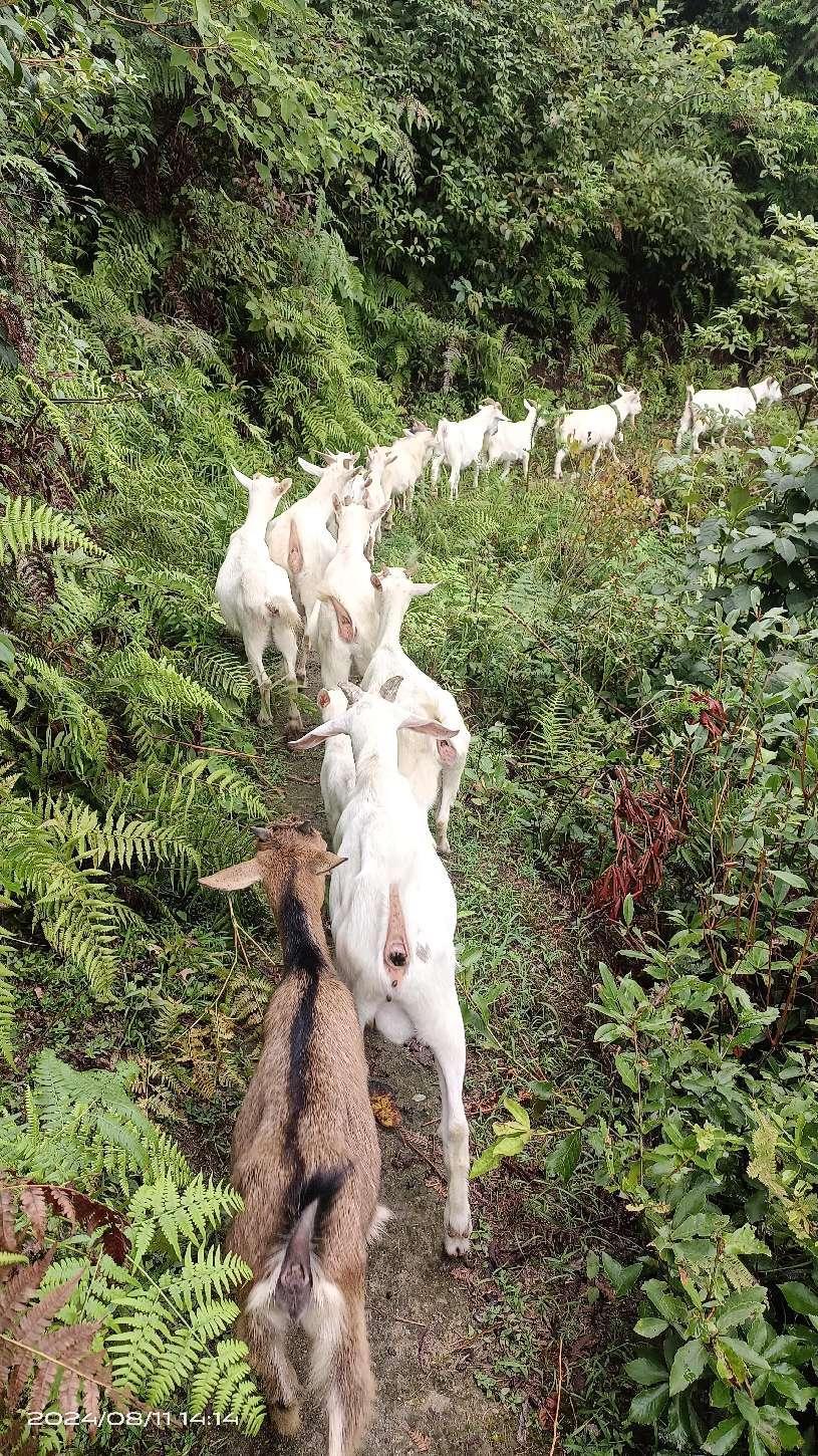 image15 image15.jpeg