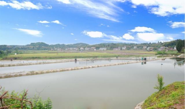 3721732363060_.pic 3721732363060_.pic.jpg