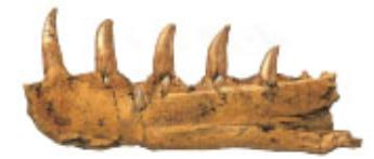 pagenumber_ebook=88,pagenumber_book=77