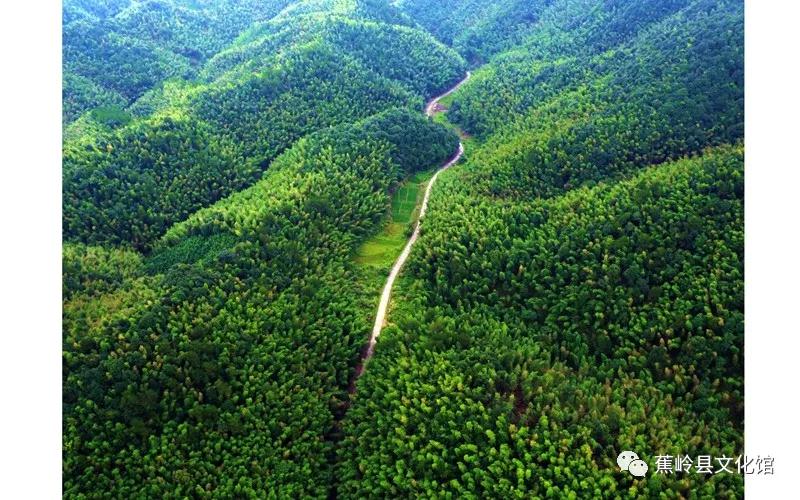 16 16.jpg?v=1765891042459