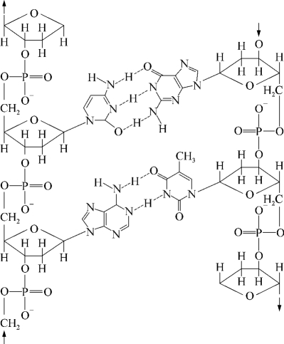pagenumber_ebook=204,pagenumber_book=191