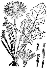 pagenumber_ebook=210,pagenumber_book=210