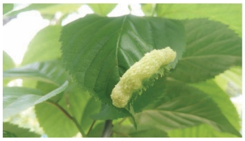 pagenumber_ebook=31,pagenumber_book=23