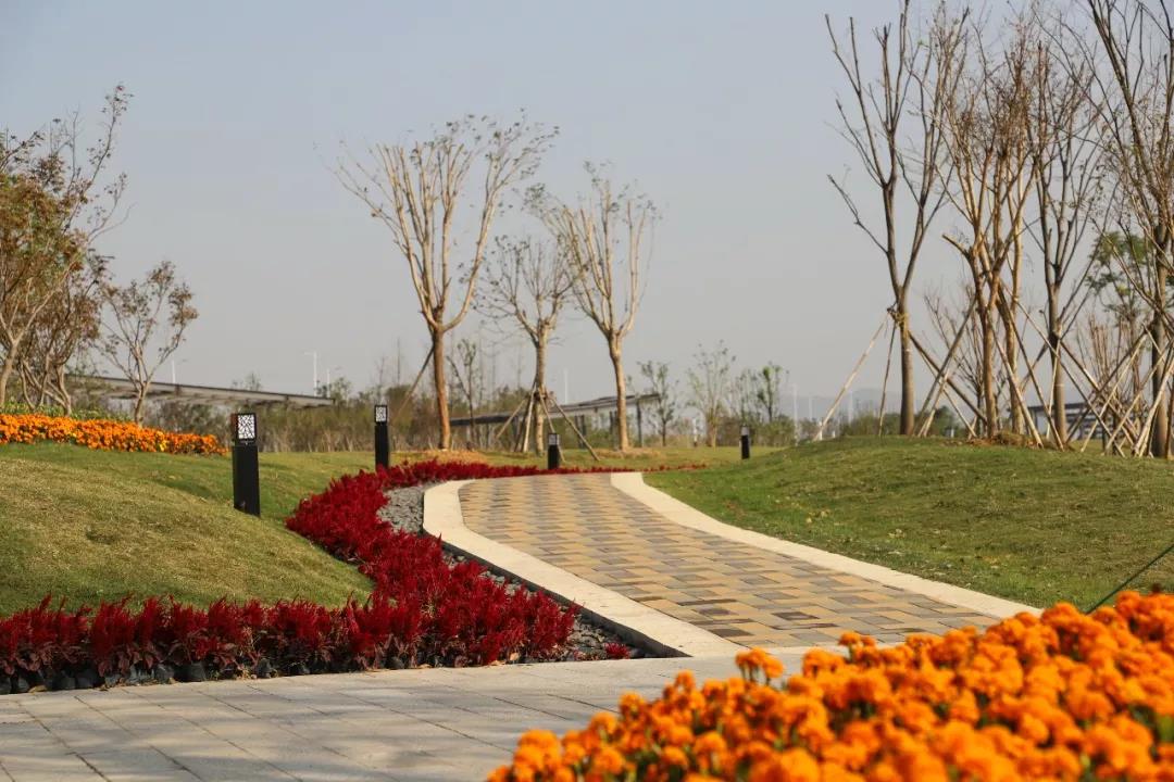 微信图片_20200713201513