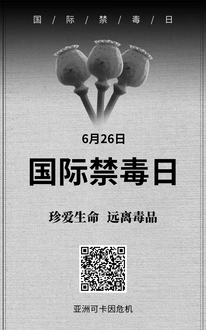 IMG_6988 IMG_6988.png?v=1764469155184