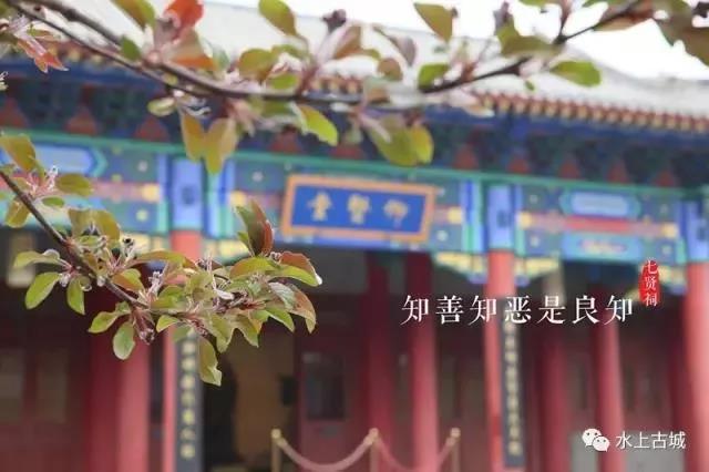 微信图片_20210322155102 微信图片_20210322155102.jpg