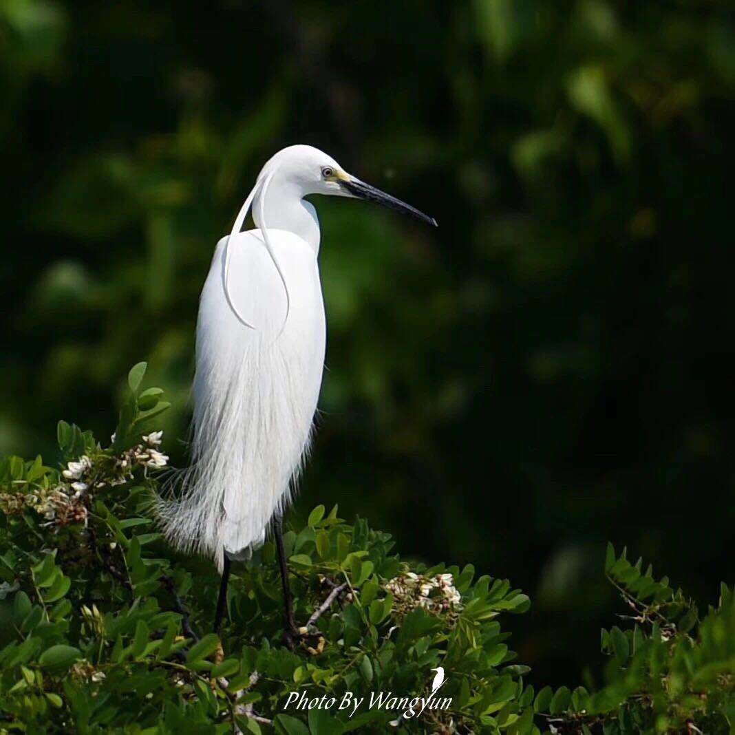 微信图片_202006051641126