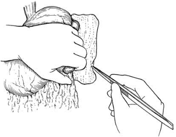 pagenumber_ebook=324,pagenumber_book=309