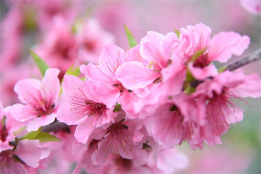 微信图片_20220320180431 微信图片_20220320180431.jpg