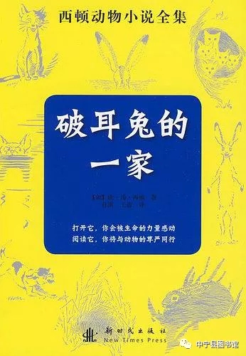 8.webp 8.webp.jpg?v=1764617543212