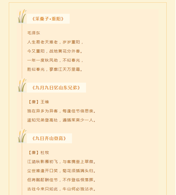 image.png?v=1750229713259