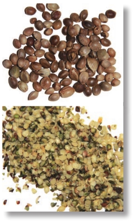 pagenumber_ebook=86,pagenumber_book=73