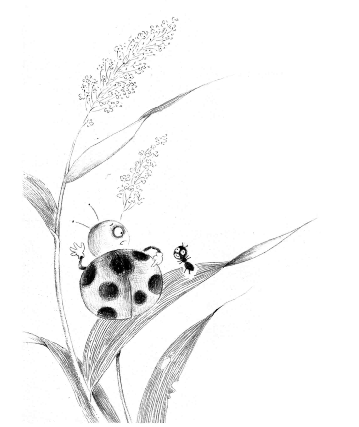 pagenumber_ebook=99,pagenumber_book=88