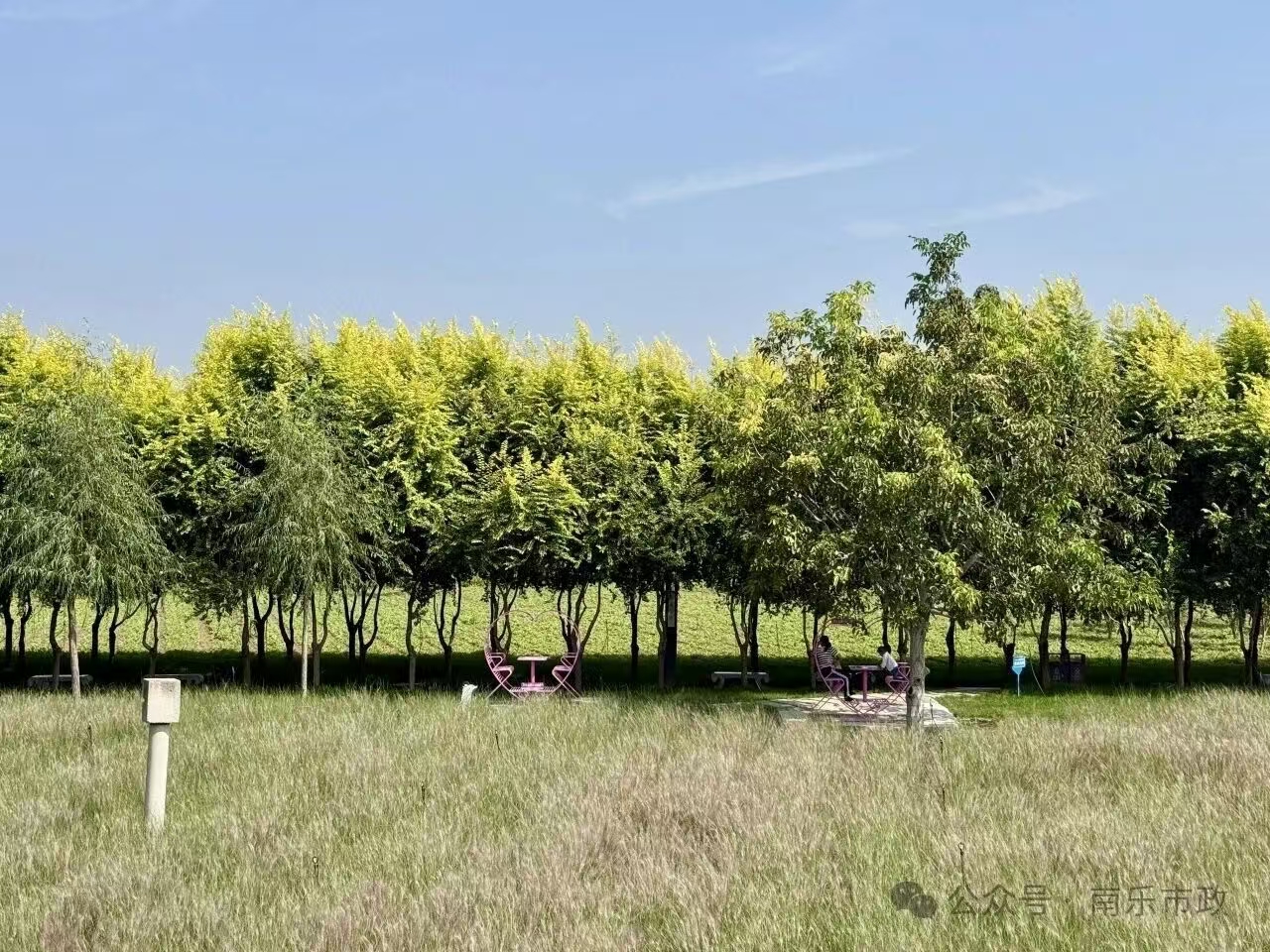 微信图片_20260204091654_768_258jpg