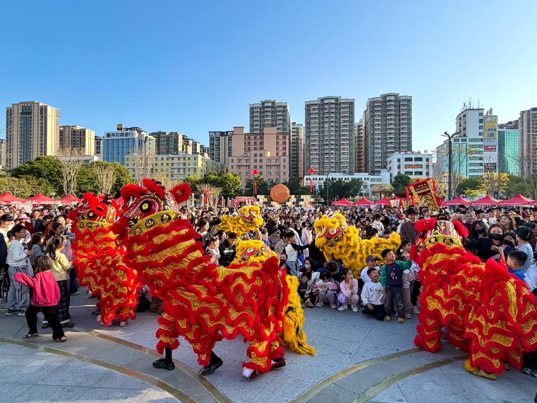 图片11 图片11jpg