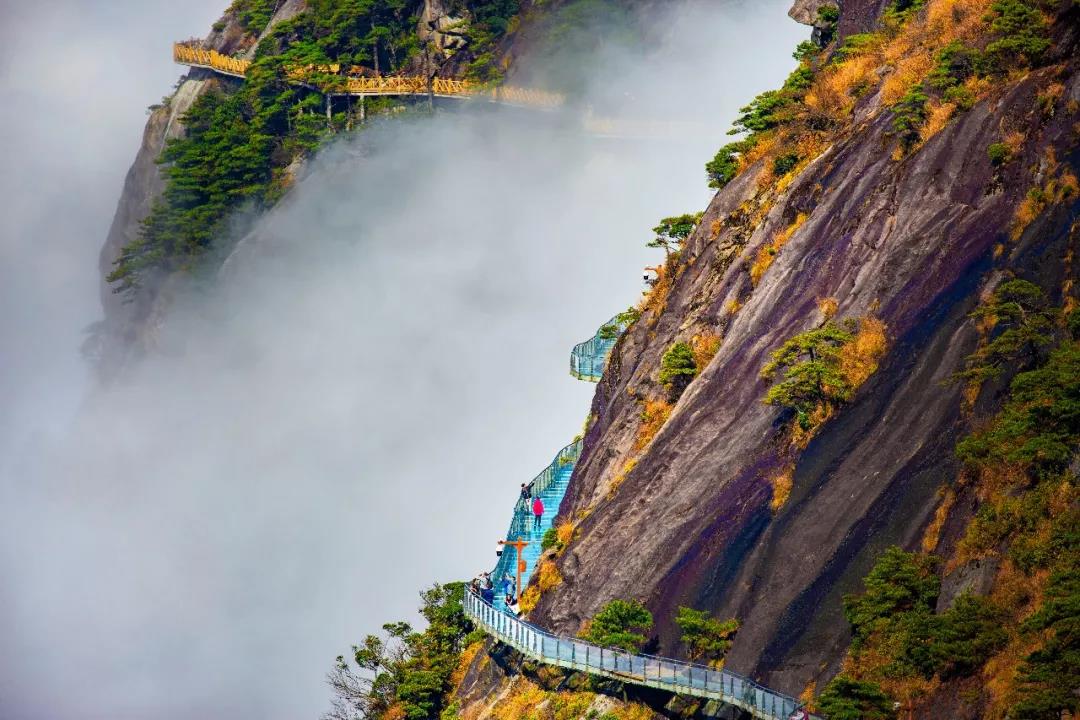 微信图片_20201008213611 微信图片_20201008213611.jpg